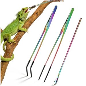 OLIISS Stainless Steel Reptile Feeding B0G473PP13