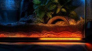 optimize heat transfer and gradients optimize heat transfer and gradients