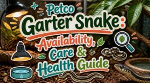 petco garter snake petco garter snake