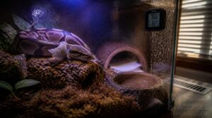 preventing low humidity in dry rooms preventing low humidity in dry rooms