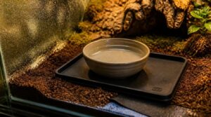 protect substrate from spills protect substrate from spills