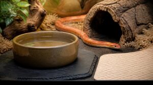 protecting hides from spills protecting hides from spills