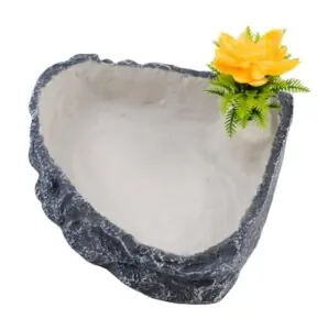 Reptile Corner Food Bowl Water B0FF9V8MK6