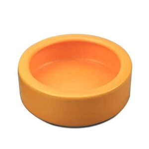 Reptile Food Dish Bowl Lizard B07VML6QMF