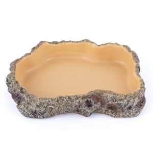 Reptile Food Dish, Terrarium Water B0G4M5HTWB