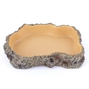 Reptile Food Dish, Terrarium Water B0G4M5HTWB
