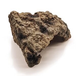 Reptile Hide Bearded Dragon Cave B0B3F72RLP