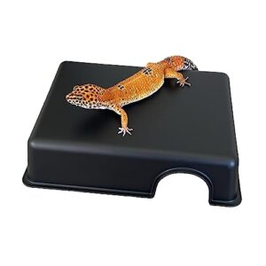 Reptile Hide Box, Small Animal B0C7NKFRMK