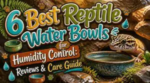 reptile water bowls for humidity control reptile water bowls for humidity control