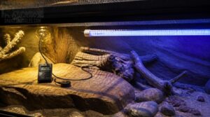 safe mounting heights and positioning safe mounting heights and positioning