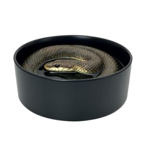 Snake Bathing Pool, Snake Water B0G1MP6PJ4