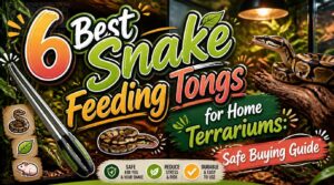snake feeding tongs for home terrariums