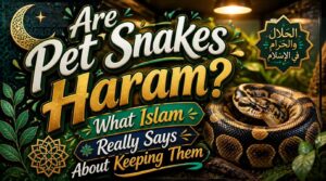 are pet snakes haram are pet snakes haram