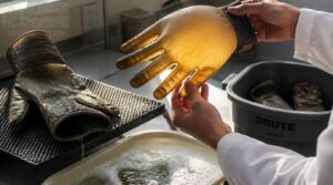 cleaning, inspecting, and replacing snake handling gloves cleaning, inspecting, and replacing snake handling gloves