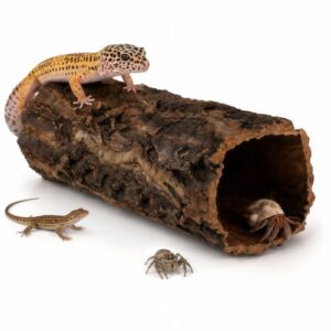 Homoyoyo Cork Bark for Reptiles B0GQ4VM18R