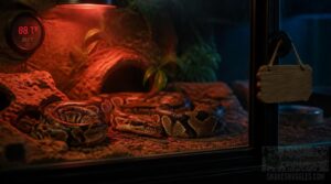 monitor digestion and prevent regurgitation monitor digestion and prevent regurgitation