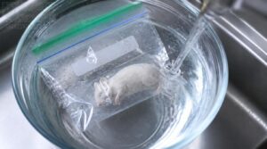 safe warm-water thawing safe warm-water thawing