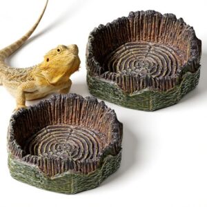 Small Reptile Food Dish, 2 B0FSZ7Y5CW