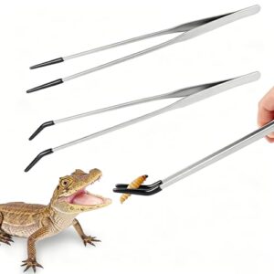 2 Pack Stainless Steel Reptile B0GFG9ZYGT