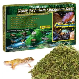 4 OZ Natural Sphagnum Moss B0DTCQ5TP3
