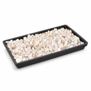 Brussel's 8" Humidity Tray with B078YHRMC1