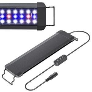 Pawfly 11 W Terrarium Light B0DX6GM3R4