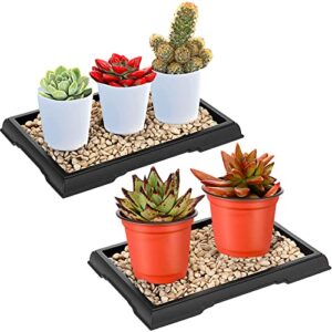 Pinkunn 2 Pcs Bonsai Humidity B0BZVM5593