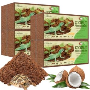 Riare 8 Pack Natural Coconut B0FV32XWMV