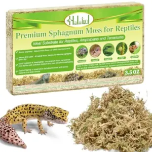 Sphagnum Moss for Reptiles, 3.5 B0DQ59SWTG