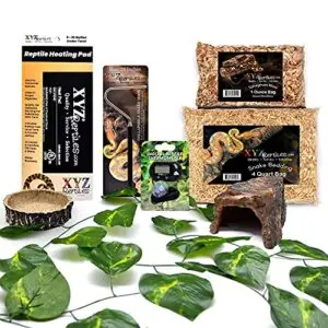 XYZReptiles Corn Snake Starter Kit B082ZTXFFX