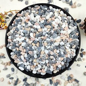 YISZM 2LB Succulent and Cactus B0BFW114MY