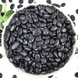YISZM 2LB Succulent and Cactus B0CLL58WXR
